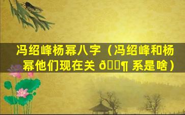 冯绍峰杨幂八字（冯绍峰和杨幂他们现在关 🐶 系是啥）